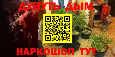 стафф Бийск