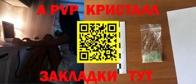 спайс Берёзовский
