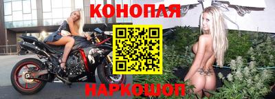 стафф Бийск