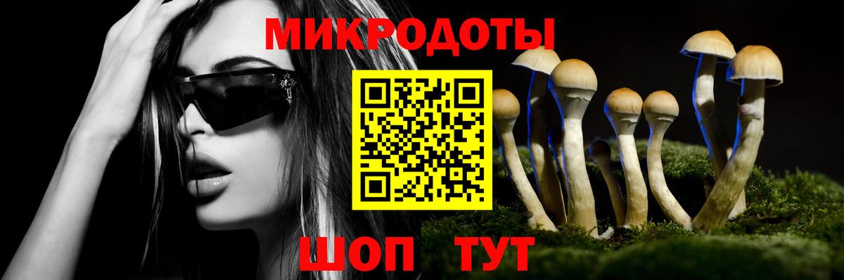 Псилоцибиновые грибы мицелий  Вход с VPN  где можно купить наркотик  Галлюциногенные грибы Magic Shrooms  Ивантеевка 